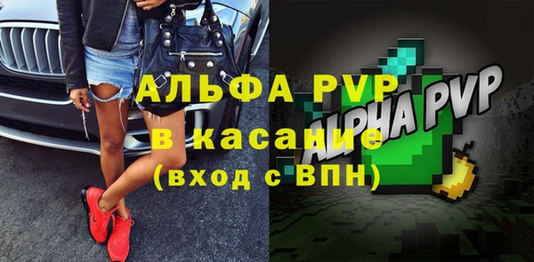 тгк Бородино