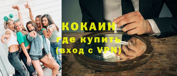 тгк Бородино