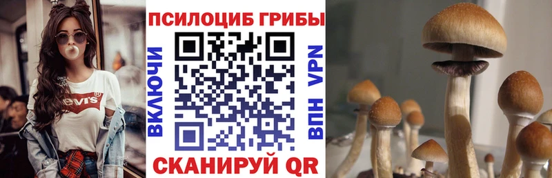 Галлюциногенные грибы прущие грибы  Щёкино 